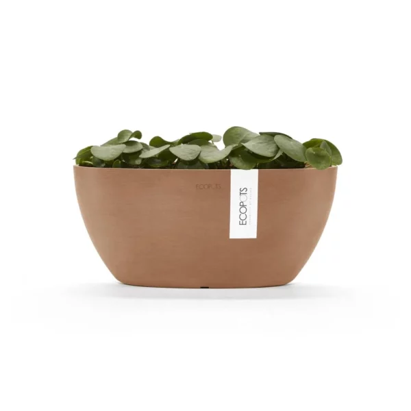⁦مركن فايبر موديل ECOPOTS SOFIA 30*12*13 - تيراكوتا⁩ - الصورة ⁦2⁩