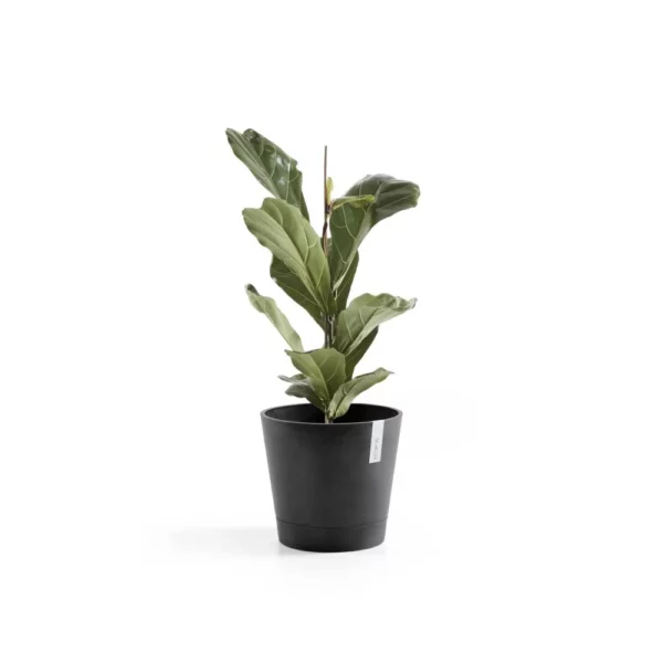 مركن فايبر موديل ECOPOTS VENICE 30*26 - رمادي غامق