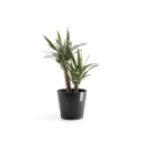 مركن فايبر موديل ECOPOTS VENICE 30*26 - رمادي غامق