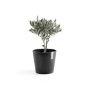 مركن فايبر موديل ECOPOTS VENICE 30*26 - رمادي غامق