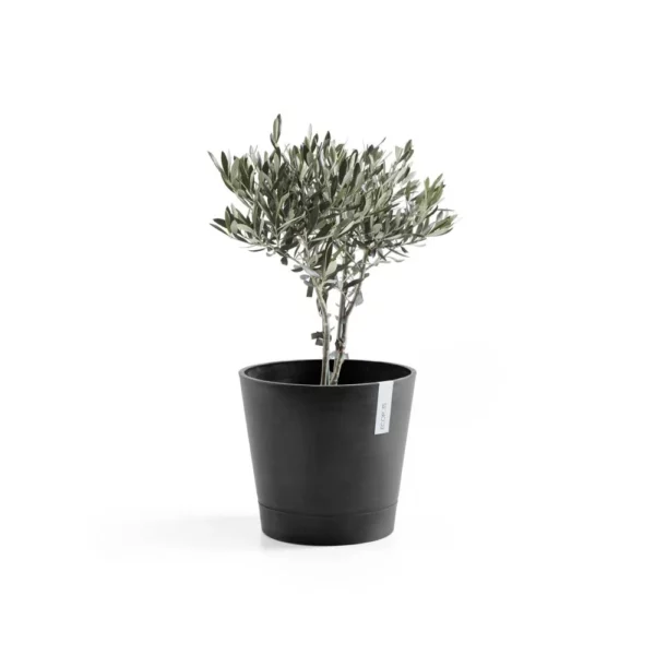 ⁦مركن فايبر موديل ECOPOTS VENICE 30*26 - رمادي غامق⁩ - الصورة ⁦4⁩