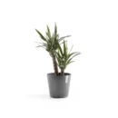 مركن فايبر موديل ECOPOTS VENICE 30*26 - رمادي