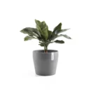مركن فايبر موديل ECOPOTS SANKARA 40*35 - رمادي مزرق