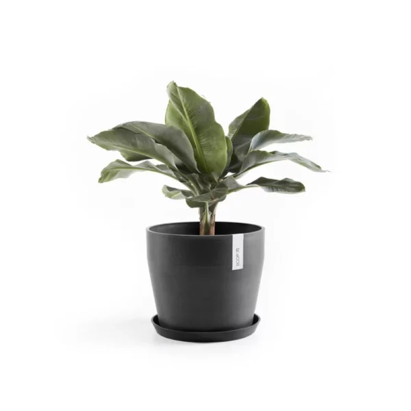 ⁦مركن فايبر موديل ECOPOTS SANKARA 40*35 - رمادي مزرق⁩ - الصورة ⁦2⁩