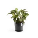مركن فايبر موديل ECOPOTS SANKARA 40*35 - رمادي مزرق