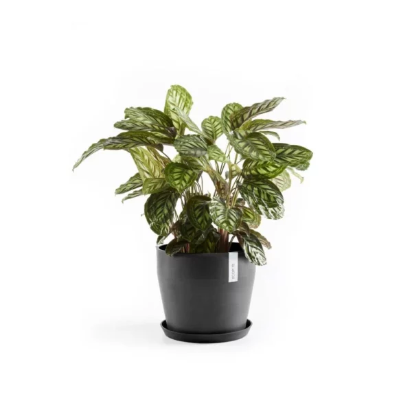 ⁦مركن فايبر موديل ECOPOTS SANKARA 40*35 - رمادي مزرق⁩ - الصورة ⁦3⁩