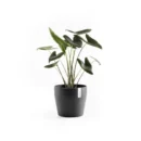 مركن فايبر موديل ECOPOTS SANKARA 40*35 - رمادي مزرق