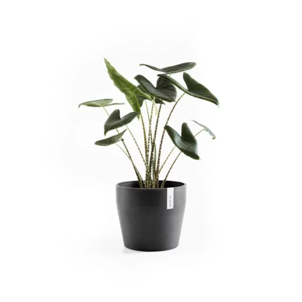 ⁦مركن فايبر موديل ECOPOTS SANKARA 40*35 - رمادي مزرق⁩ - الصورة ⁦4⁩