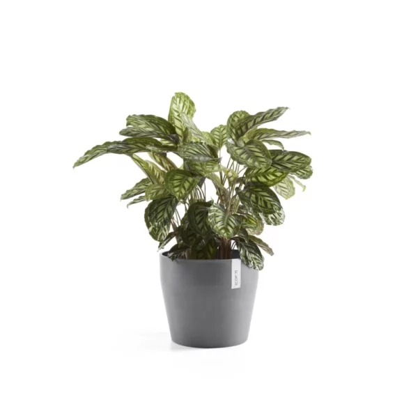 ⁦مركن فايبر موديل ECOPOTS SANKARA 40*35 - رمادي مزرق⁩ - الصورة ⁦8⁩