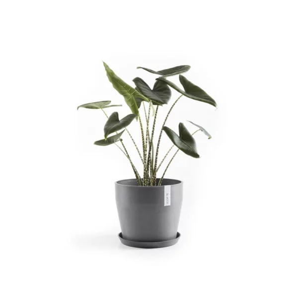 ⁦مركن فايبر موديل ECOPOTS SANKARA 40*35 - رمادي مزرق⁩ - الصورة ⁦10⁩