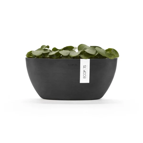 ⁦مركن فايبر موديل ECOPOTS SOFIA 30*12*13 - رمادي غامق⁩ - الصورة ⁦3⁩