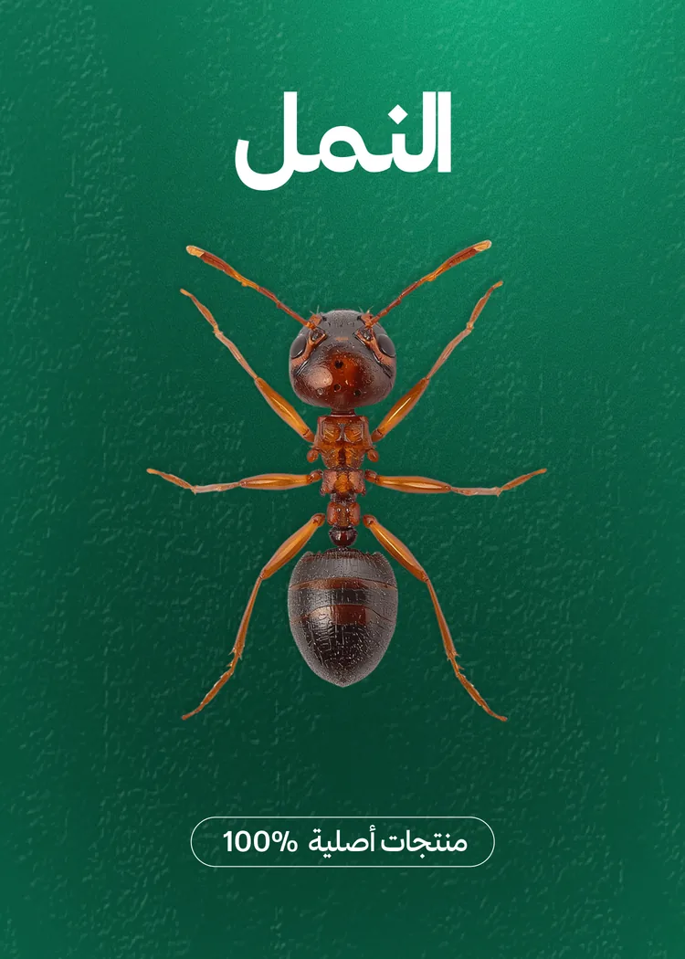 مبيدات النمل