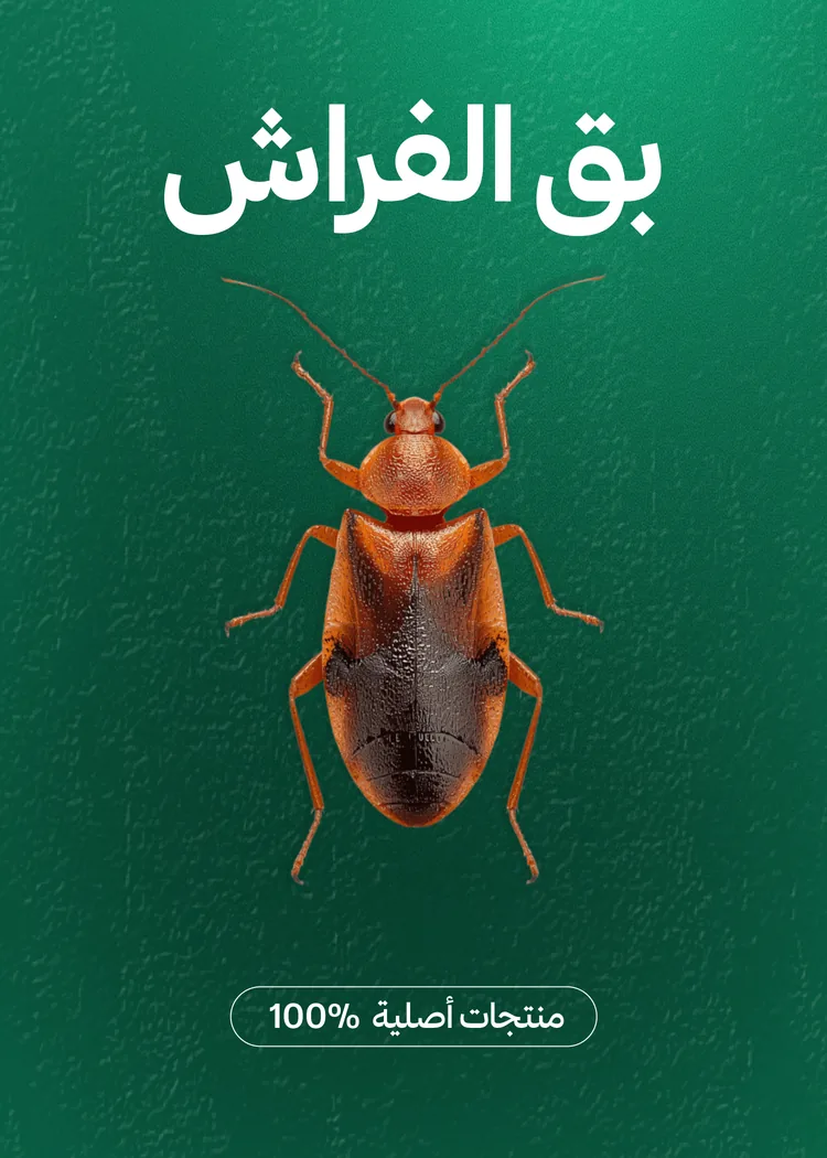 مبيدات بق الفراش