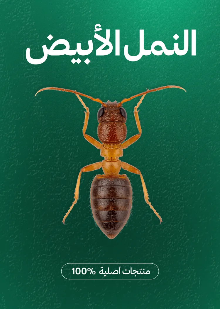 مبيدات النمل الأبيض