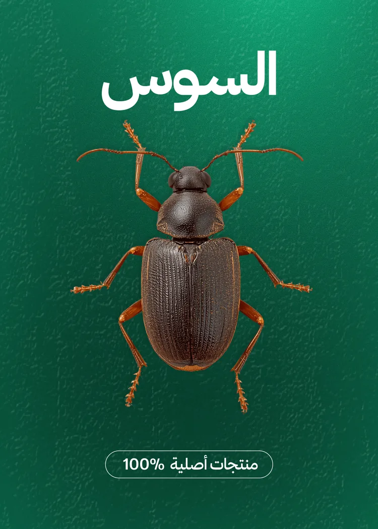 مبيدات السوس والخنافس